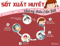 BỆNH SỐT XUẤT HUYẾT: NHỮNG ĐIỀU CẦN BIẾT